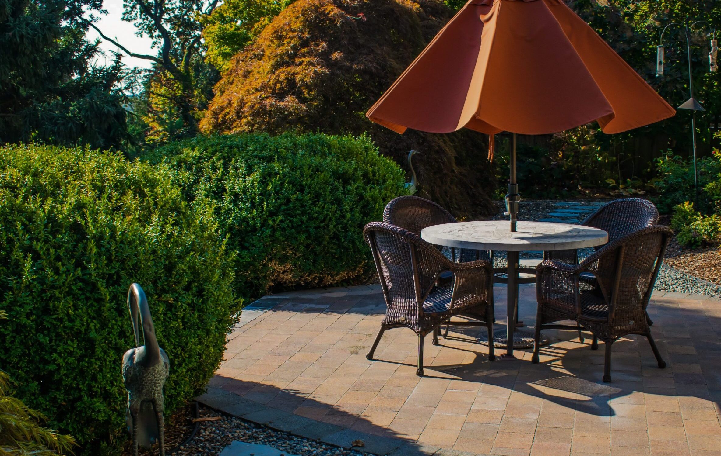 patio Landscape Construction Services