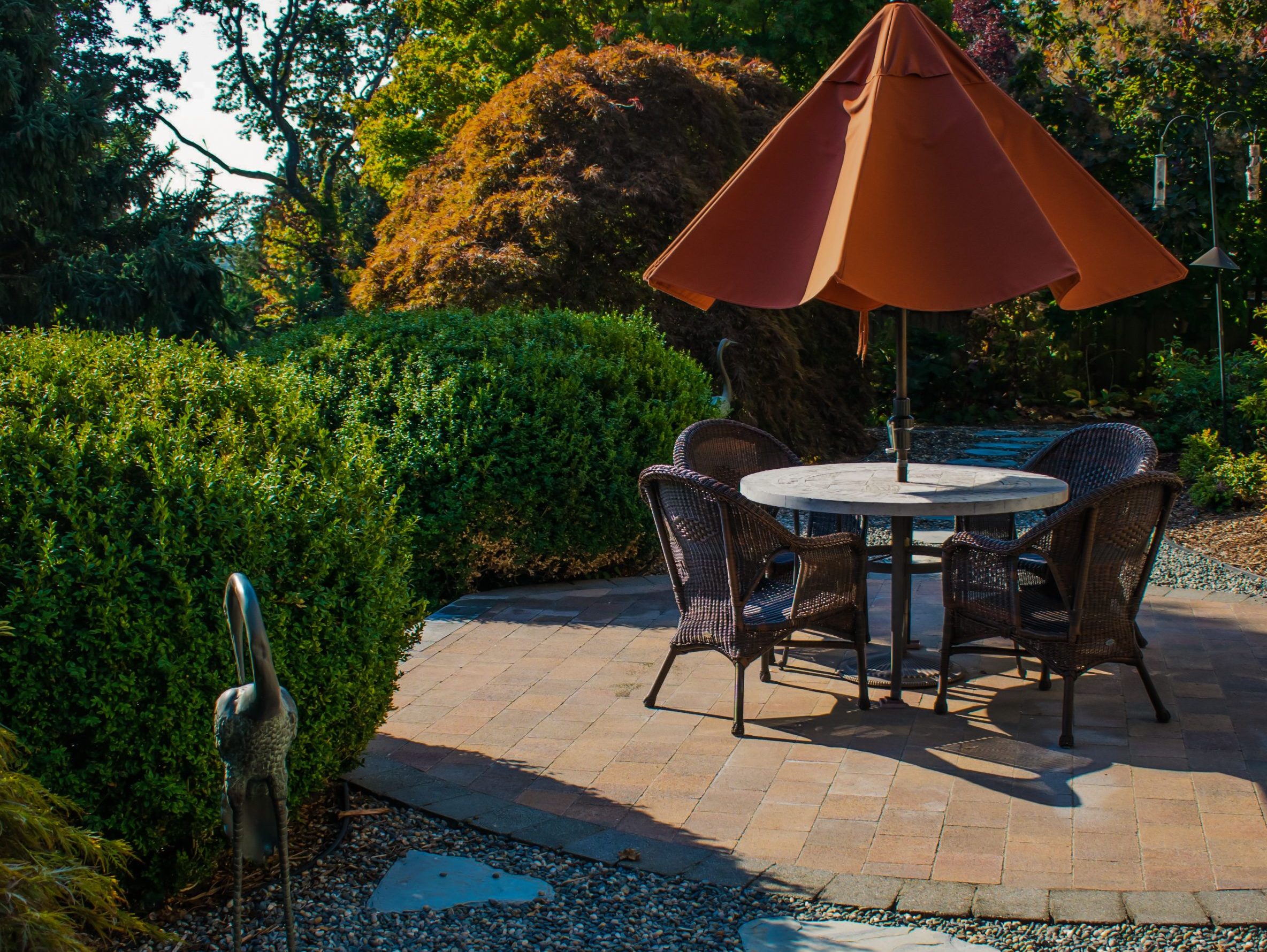 patio Landscape Construction Services