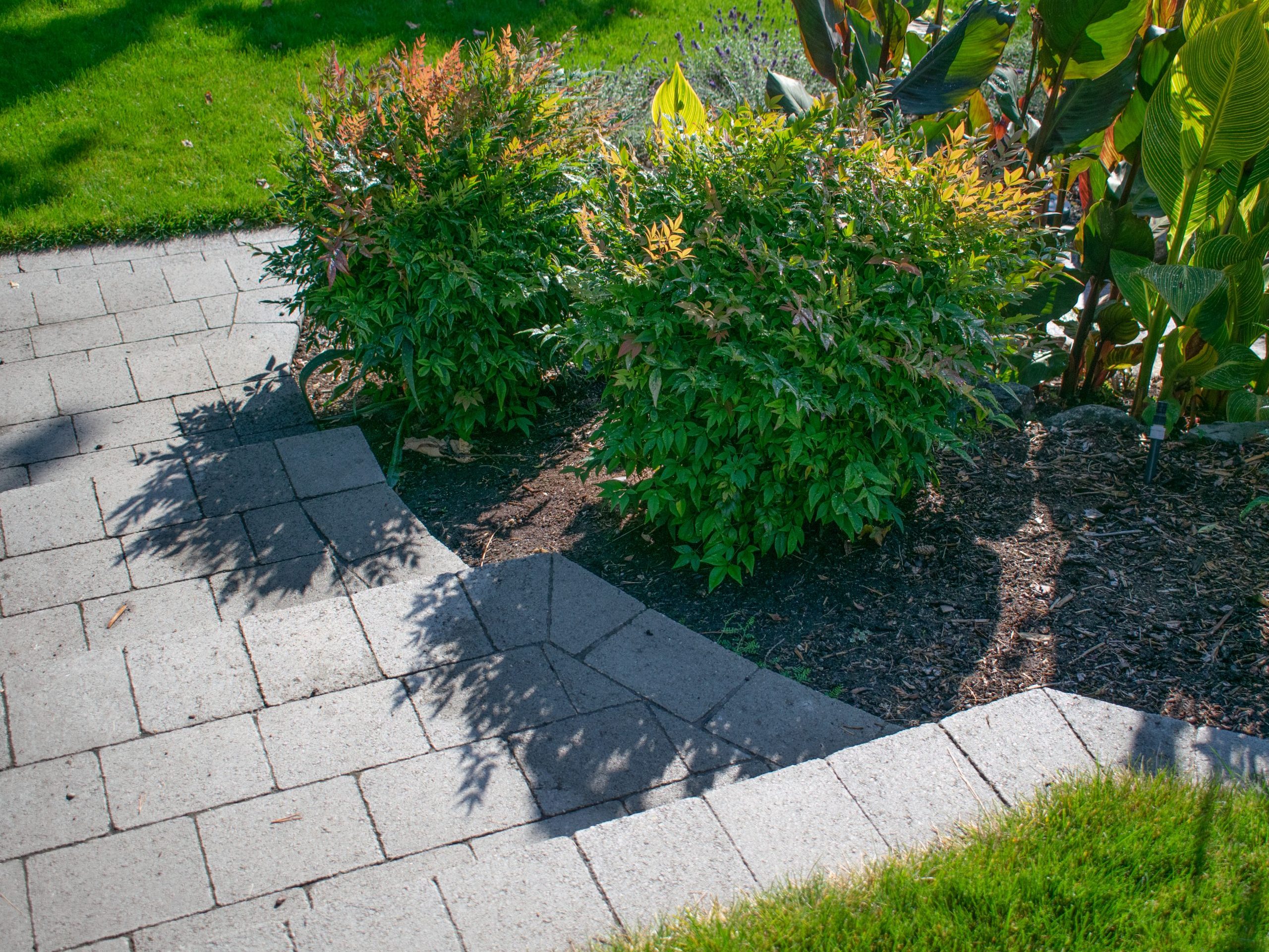 garden stairs in Victoria bc