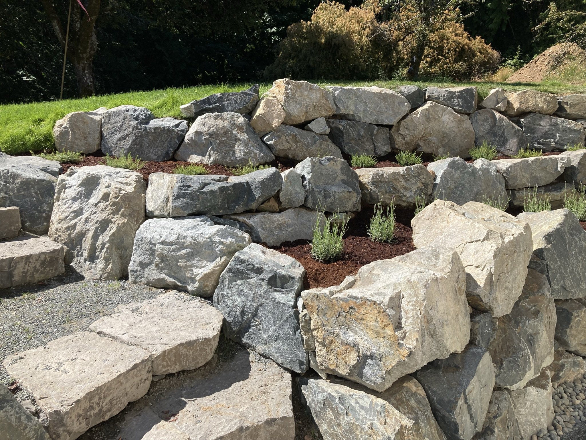 Boulder retaining wall and basalt steps in Victoria BC
