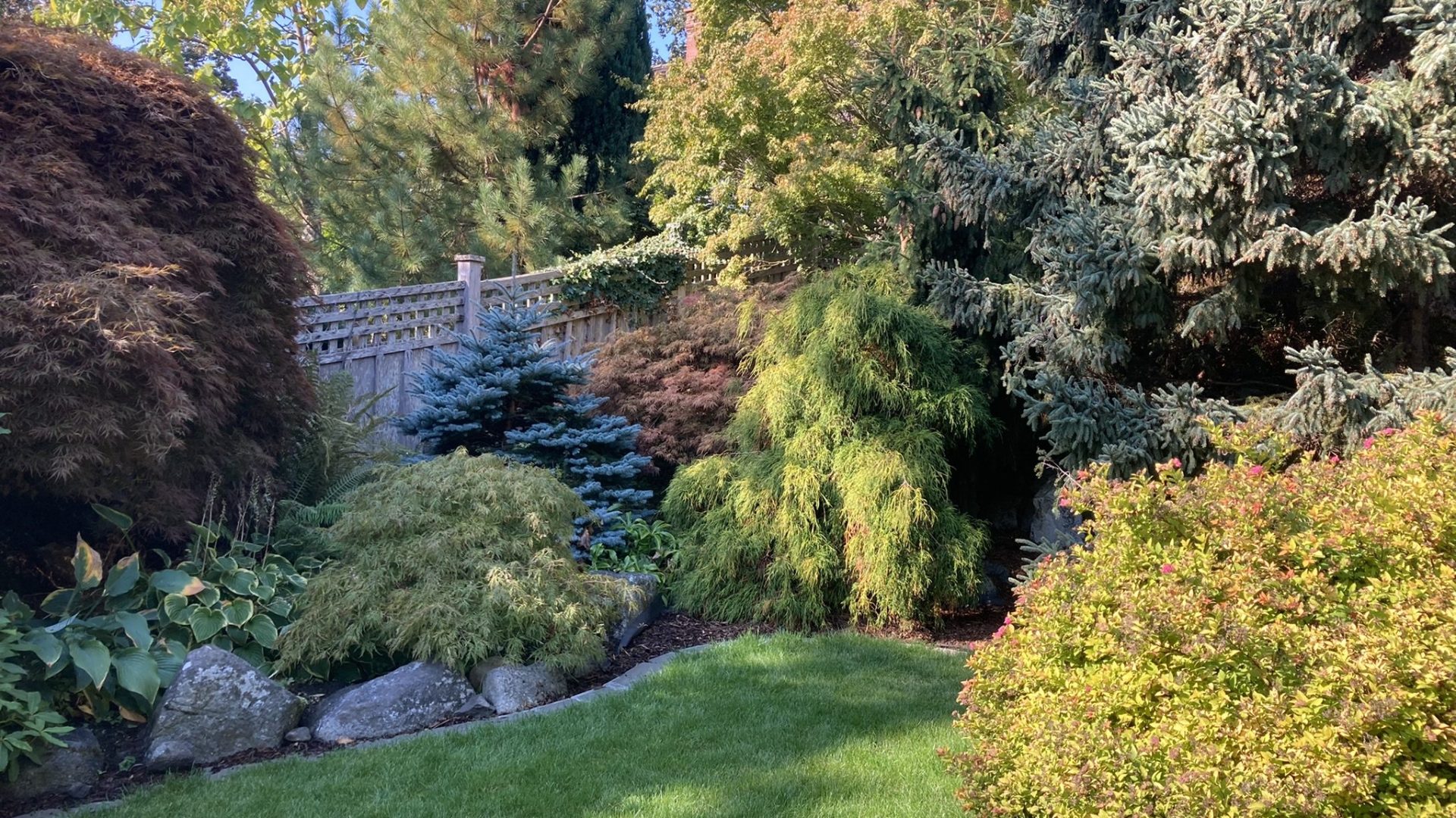 Colourful evergreen foliage in oak bay