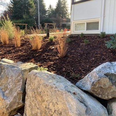 Mulch in the landscape
