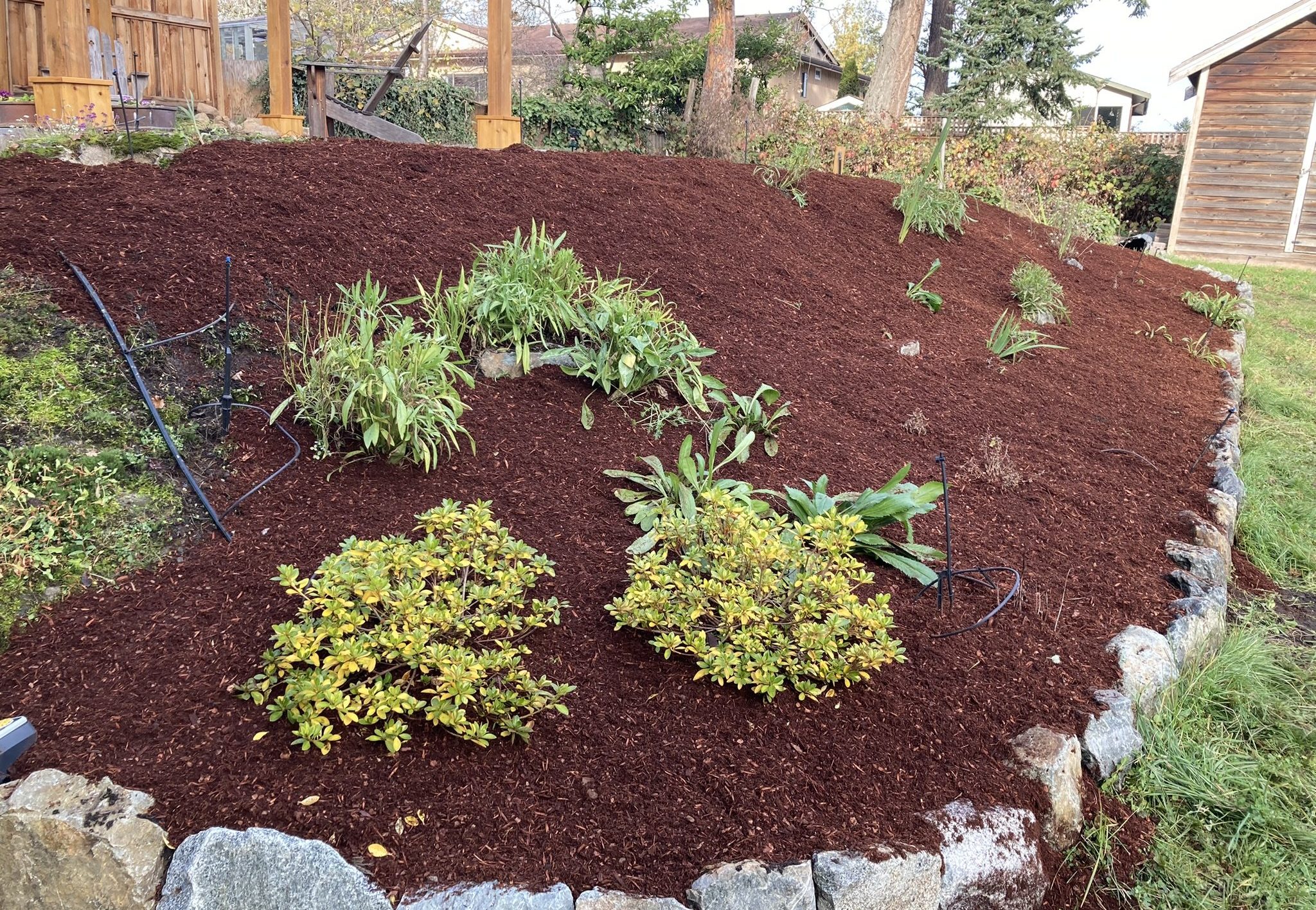 After mulching service After a mulching service