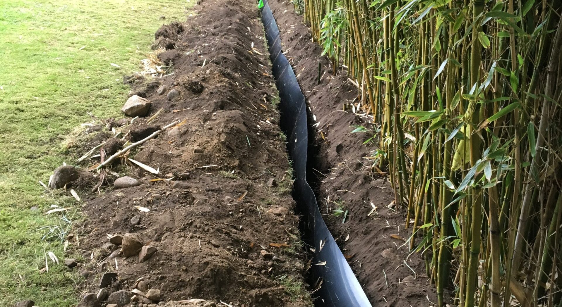 Bamboo barrier post planting Bamboo barrier installation