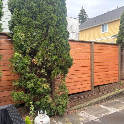 Privacy fence